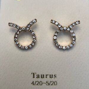 💜3/$30 Horoscope Zodiac Taurus The Bull Clear crystal earrings